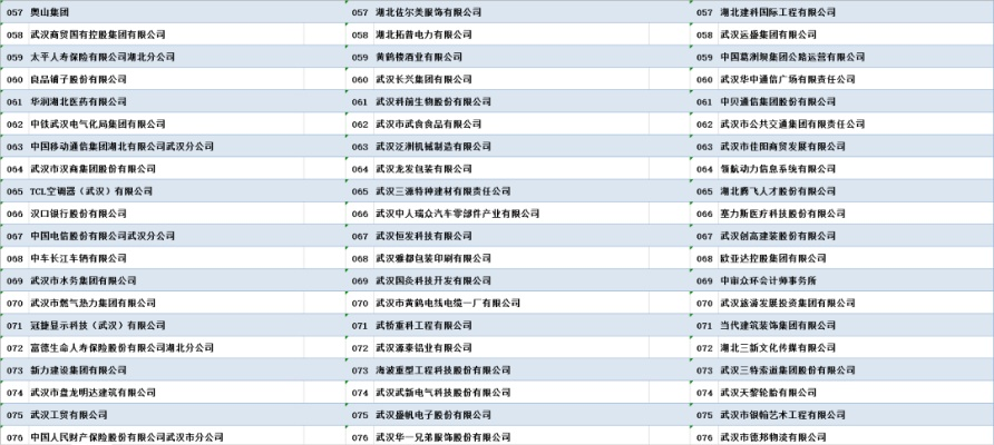 武汉气力输送公司排名揭秘，行业影响力深度探讨