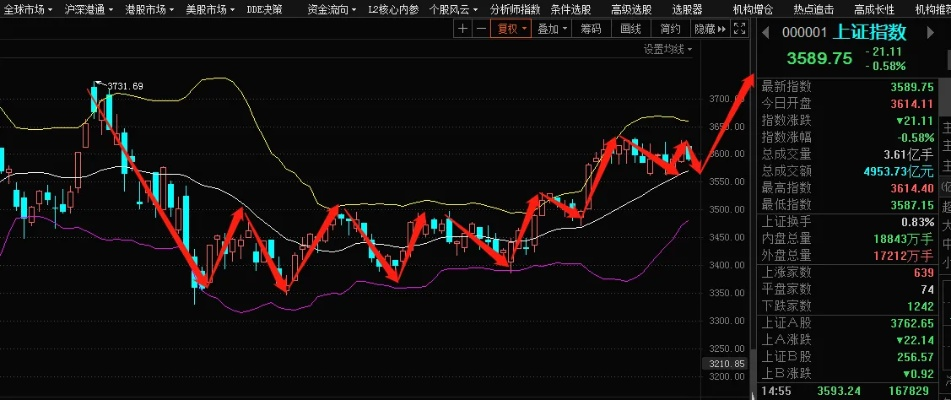 今日国股行情速递，市场走势深度分析与预测