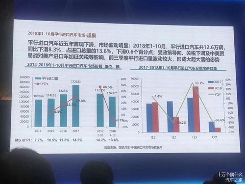 金沙县洗煤出售信息深度解析，市场现状、最新解读与未来展望