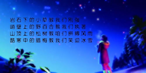 励志语录摘抄，迈向辉煌人生的力量之源