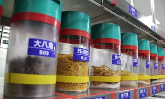 修水城区发展动态，城市脉搏与民生改善同步前行