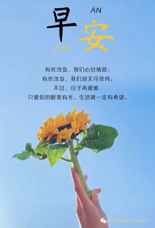 励志短句集锦，胖墩成长箴言