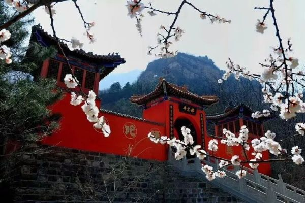 平山清明踏春赏花攻略，历史与自然之美尽收眼底