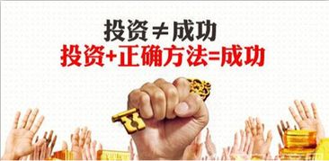曹县小麦最新价格动态，今日行情分析与市场趋势解读