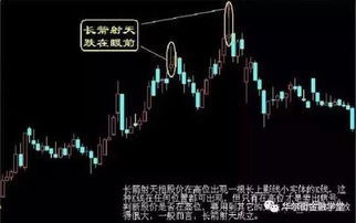 老股民洞悉股市风云，独家分享投资智慧新视频