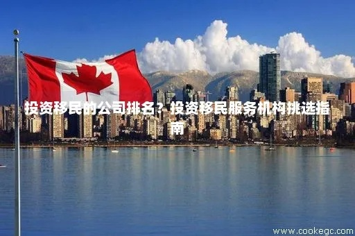 移民服务机构深度解析，权威排名助你挑选最佳移民公司