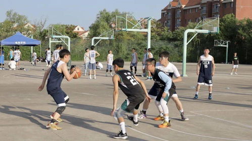 易经学校排名TOP10，探寻传统文化瑰宝之旅