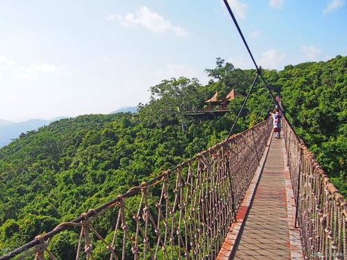 红霞公园旅游攻略，自然人文之美韵探索