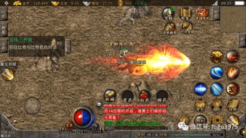 2025年6月13日 第11页