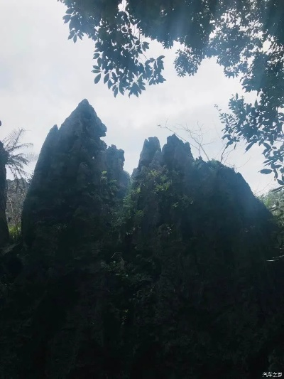 永安石林奇观深度游攻略，探索神秘石头森林的神秘魅力