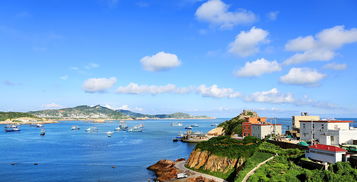 枸杞岛花鸟岛探秘指南，东海风情尽览无遗