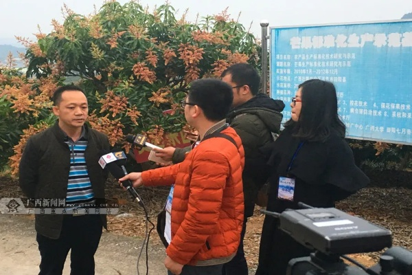 田阳新闻速递，今日最新报道汇总