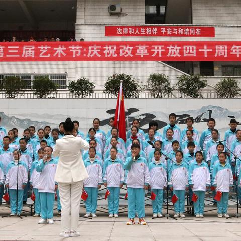 广西河池金城区新闻聚焦，繁荣背后的故事揭秘