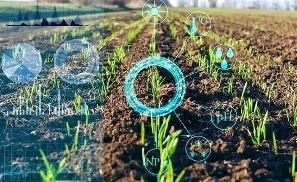 最新农业科技动态揭秘，种子创新引领未来趋势