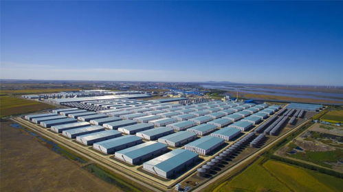 马士基在财富世界500强中的表现深度解析