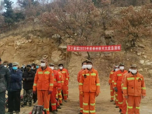 龙口山火最新动态，一线防控措施与实时更新消息