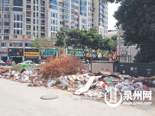 鲤城市垃圾堆问题引发环保挑战，新闻头条下的城市环境治理难题