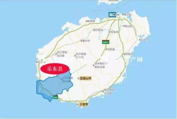 乐东公司行业地位及影响力深度解析