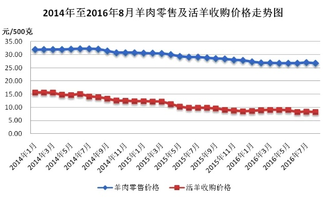 最新今日活羊价格走势分析，市场趋势与影响因素深度解读