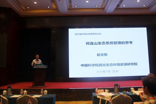 沣西最新头条，区域发展动态与热点事件全解析