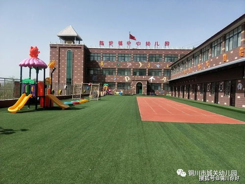 印台区油价最新动态，今日走势分析与未来预测