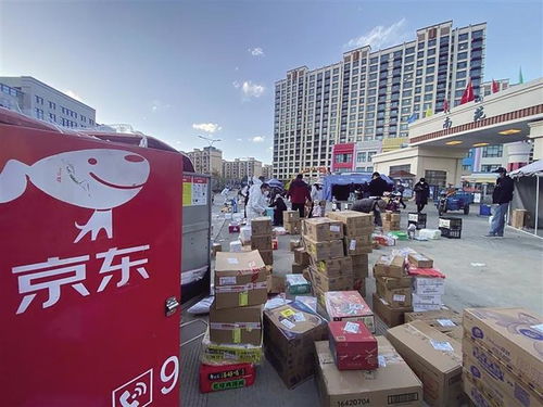 琼海市邮政快递业迅猛崛起，行业繁荣引领物流新时代