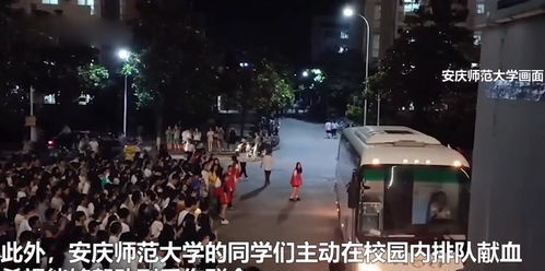 运城直播烟花事件最新进展揭秘，后续动态一网打尽
