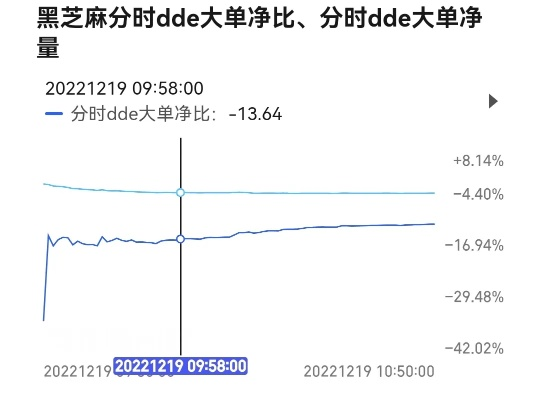 今日芝麻行情大揭秘，最新走势分析报告