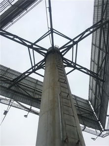 河源大理携手并进，探寻两地发展新动态，新闻头条速递