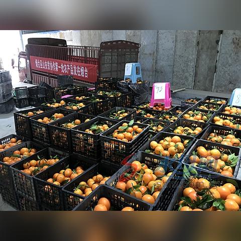 最新公示！巫山援建城市名单重磅揭晓，携手共建美好未来城市