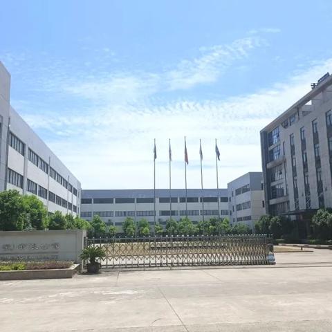 安徽橡胶公司排名揭晓，探寻行业领军者的成功秘诀与竞争优势分析