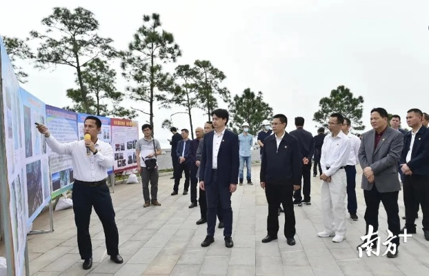 阳西石龙发展脉搏揭秘，最新新闻头条聚焦地方动态
