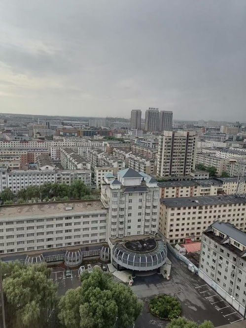 2025年6月19日 第12页