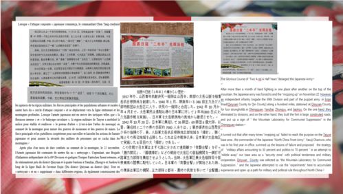探索语言世界的桥梁与工具，语言互通的新时代工具百度翻译。