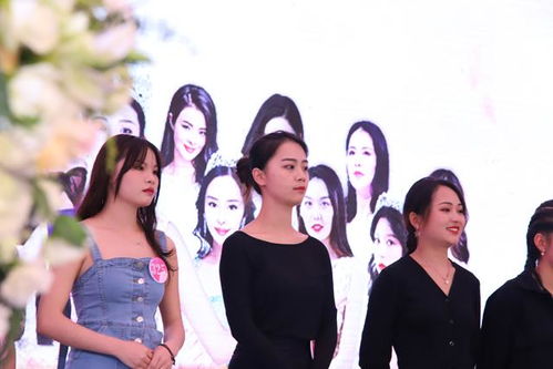 楚香香最新视频探秘，世界之旅与无限魅力展现