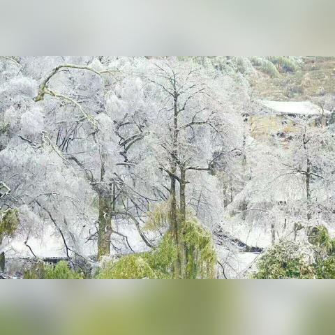 川西旅游坐车指南，畅游四川西部不再难！