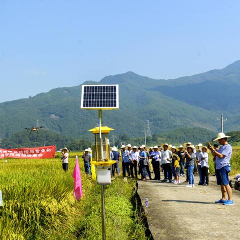 瓦窑乡振兴产业与地方发展融合之路，新闻头条下的乡村振兴之路