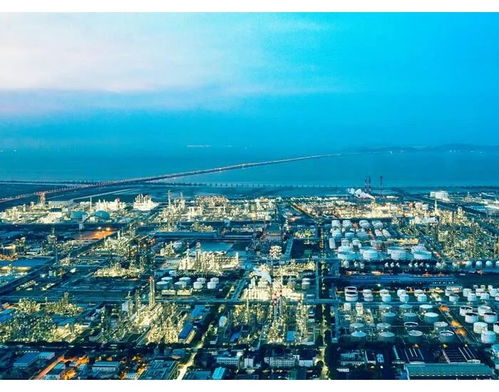 长春石油市场最新价格动态及趋势分析