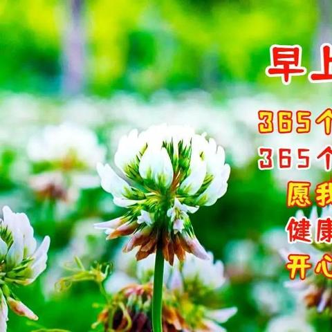 跑滴滴背后的励志力量，奋斗与坚持的鼓舞人心语录