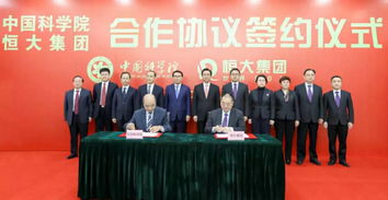 辽宁智慧水务公司排名大揭秘，科技领航，水务行业迈入新纪元