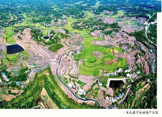 2025年6月21日 第13页