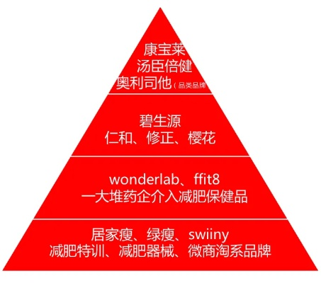 意大利减肥店排名榜大揭秘，最新瘦身新境界探索
