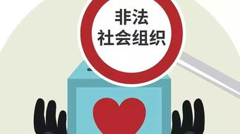 福安家暴现场视频曝光引发社会警示与热议