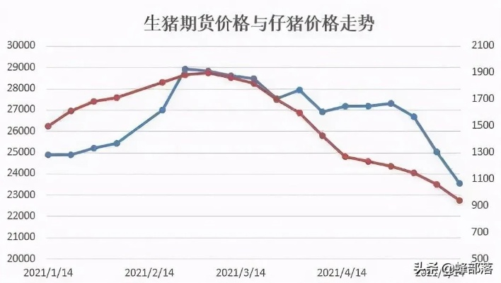 遂宁最新猪价行情，市场走势深度分析与预测