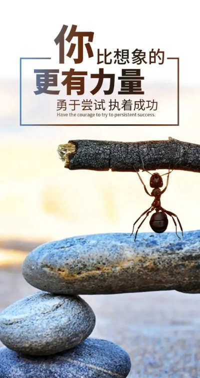 陈小妹励志情感语录，心灵成长的强大力量