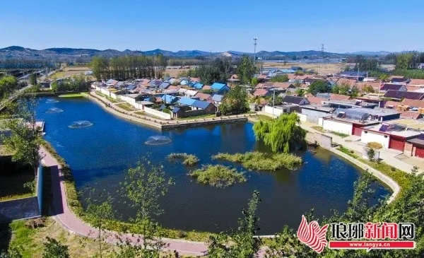 沂城郭屯镇发展聚焦，新貌展现，新闻头条抢先看