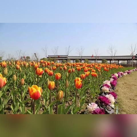 余杭旅游攻略图高清大放送，探索最新余杭之美