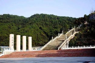 越秀公园云梯攻略，最新指南带你畅游云端步道