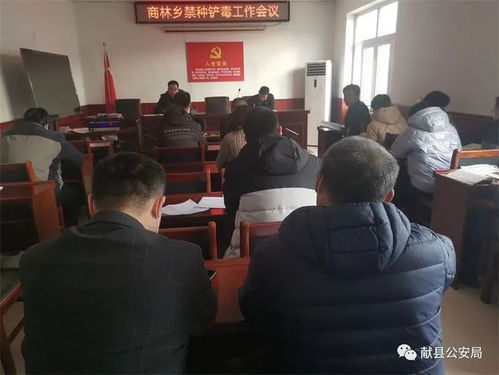 献县南河乡乡村振兴新篇章，新闻头条抢先看