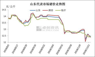 山东今日鸭价行情，最新报价与深度分析